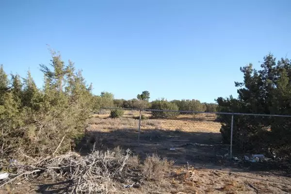 Oak Hills, CA,0 Cactus