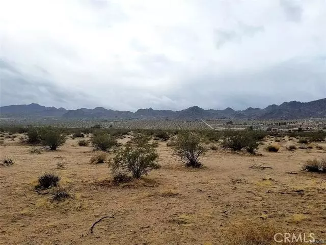 Joshua Tree, CA 92252,0 Mojave Ranch RD