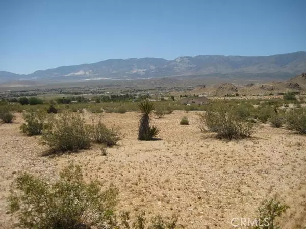 0 Custer LN, Lucerne Valley, CA 92356