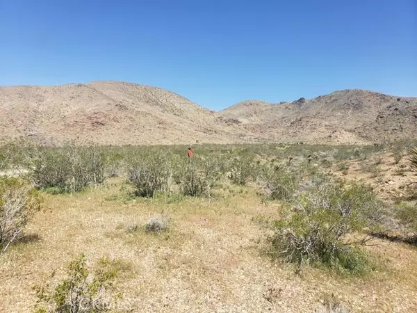 0 Near Lucerne Valley Cutoff RD, Lucerne Valley, CA 92356