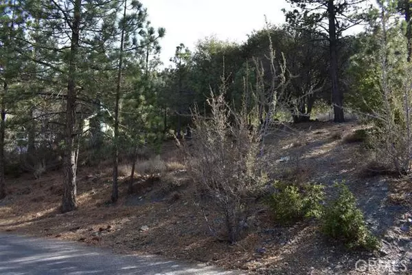 Wrightwood, CA 92397,5236 Desert View DR