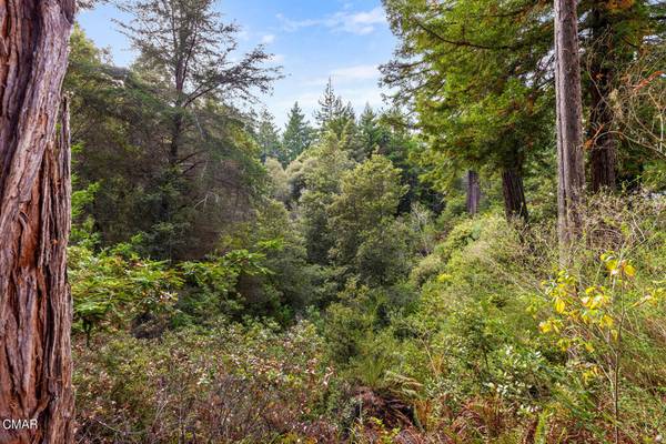 Fort Bragg, CA 95437,30799 Swithenbank LN