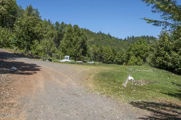 Laytonville, CA 95454,4350 Cahto Peak RD