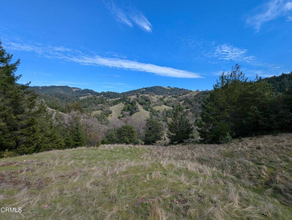 22346 Rickard Ranch RD, Point Arena, CA 95468