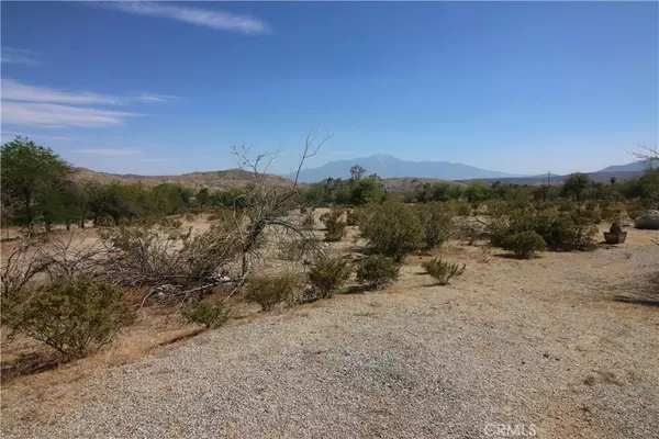 Morongo Valley, CA 92256,9899 Big Morongo Canyon RD