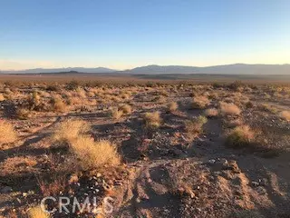 Newberry Springs, CA 92365,0 Hector