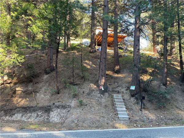 Crestline, CA 92325,233 Dart Canyon RD