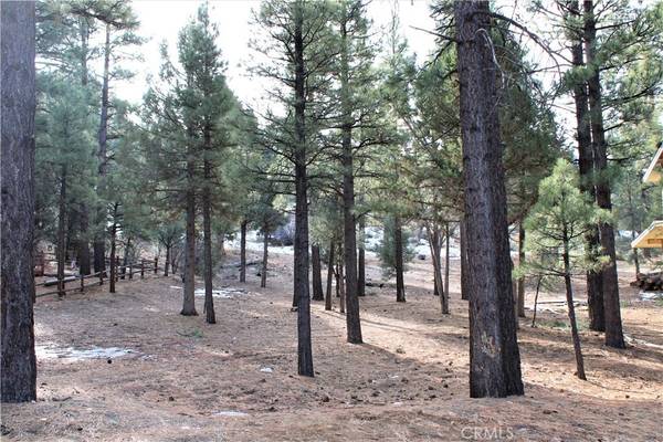 2340 Manzanita LN, Big Bear City, CA 92314