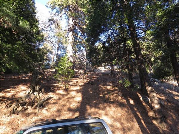 Cedarpines Park, CA 92322,0 Peak CIR