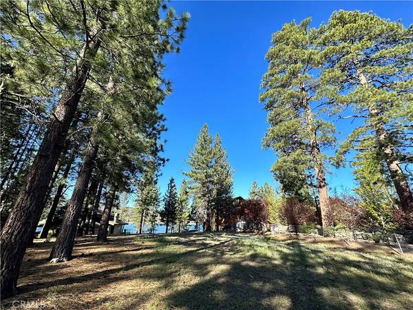 Big Bear Lake, CA 92315,169 Eagle DR