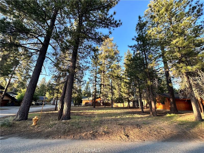 169 Eagle DR, Big Bear Lake, CA 92315