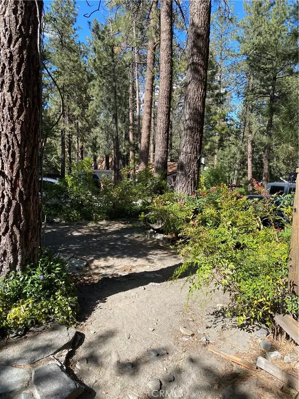 Wrightwood, CA 92397,1695 Thrush RD