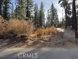 Big Bear City, CA 92314,0 S Saw Mill DR