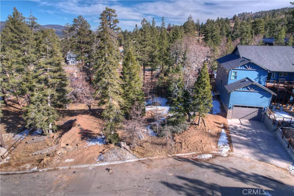 Big Bear Lake, CA 92315,875 Pine Meadow CT