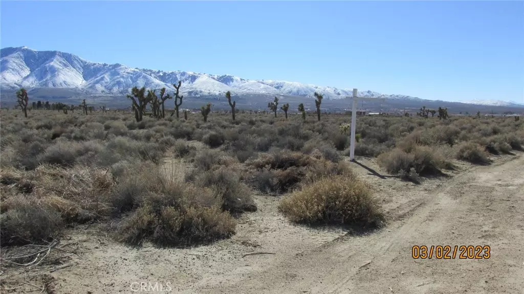 Lucerne Valley, CA 92356,1 DESERT VIEW