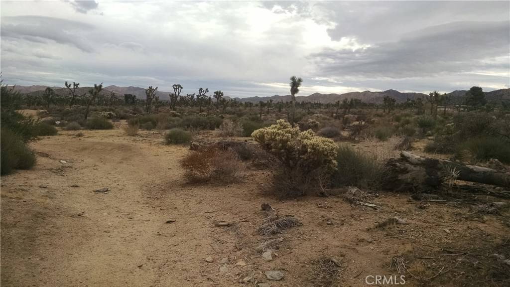 Yucca Valley, CA 92284,0 Church