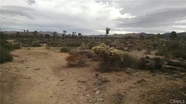 Yucca Valley, CA 92284,0 Church