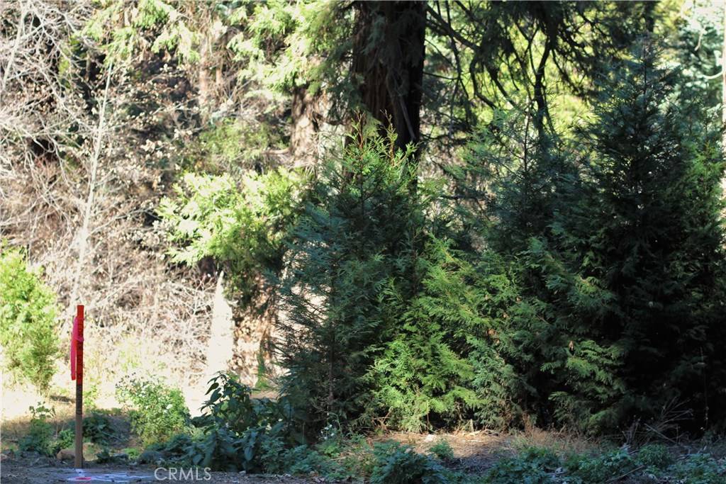 Lake Arrowhead, CA 92385,0 Maple RD