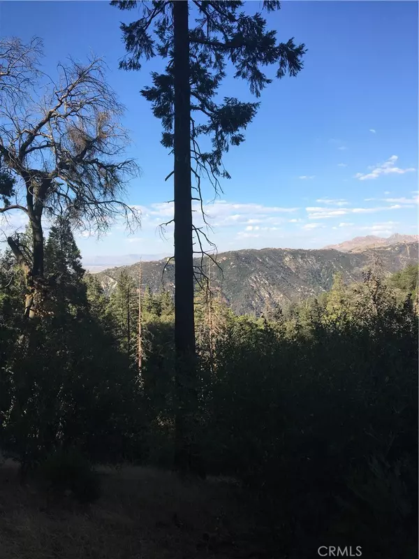 Cedarpines Park, CA 92322,0 Burnt Mill Canyon Road Area