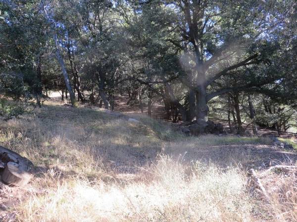 Cedarpines Park, CA 92322,0 Mojave River RD