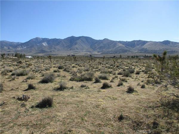 Lucerne Valley, CA 92840,0 LARAMIE ST