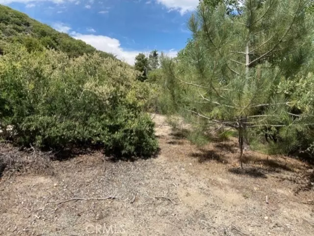 Lake Arrowhead, CA 92352,0 Torrey RD