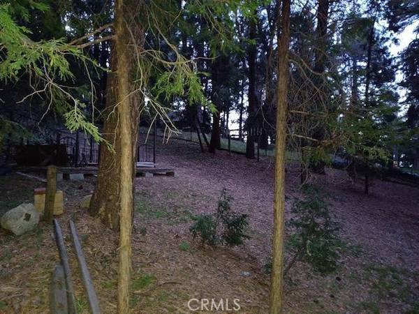 Cedarpines Park, CA 92322,21801 Peak CIR