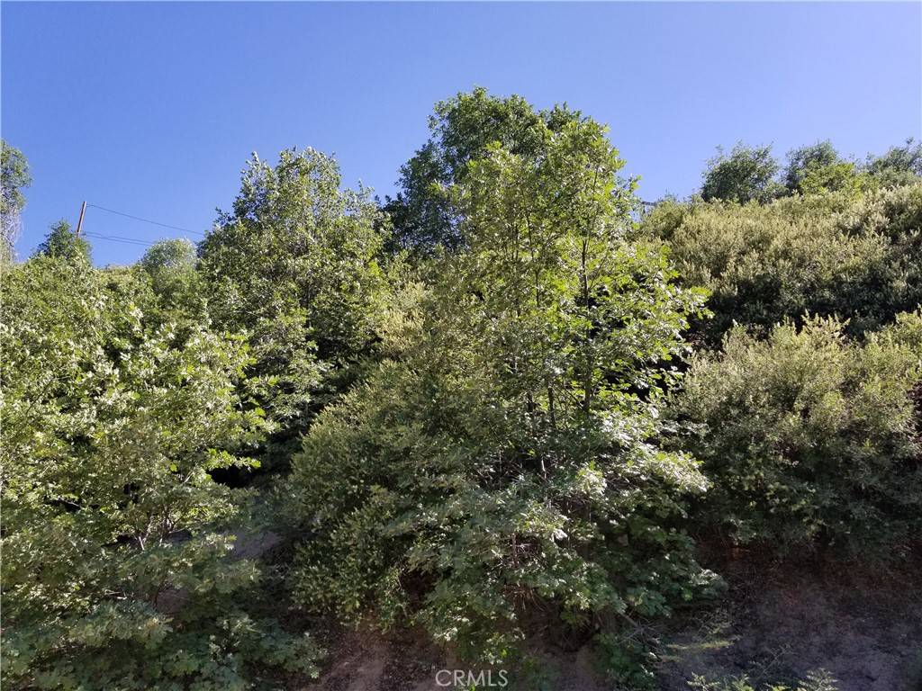 Cedar Glen, CA 92321,0 Elder DR