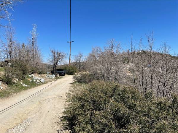 Cedar Glen, CA 92352,729 Cypress RD