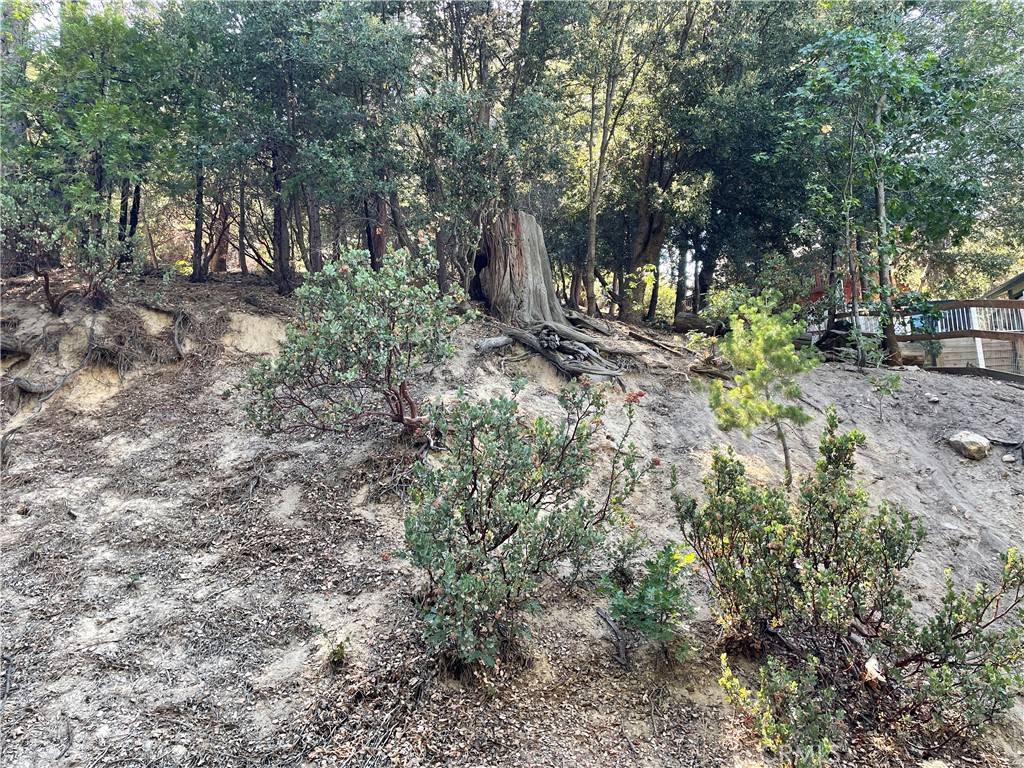Lake Arrowhead, CA 92352,44 Rockridge DR