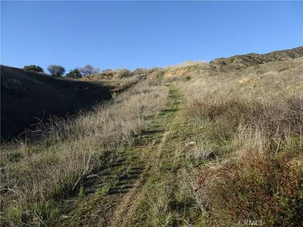 Yucaipa, CA 92399,33846 Fish Hatchery RD