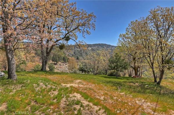 Running Springs, CA 92382,25 Pine Cone Curve