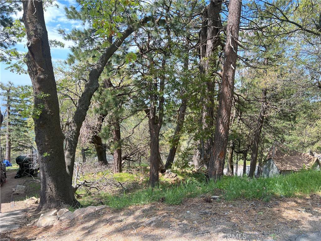 Running Springs, CA 92382,0 Deer Lick Lane