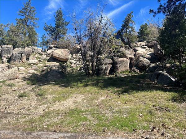 32906 Deer, Arrowbear, CA 92382