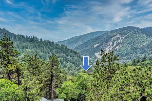 3 Lot 3 W Buckthorn DR W, Cedarpines Park, CA 92322