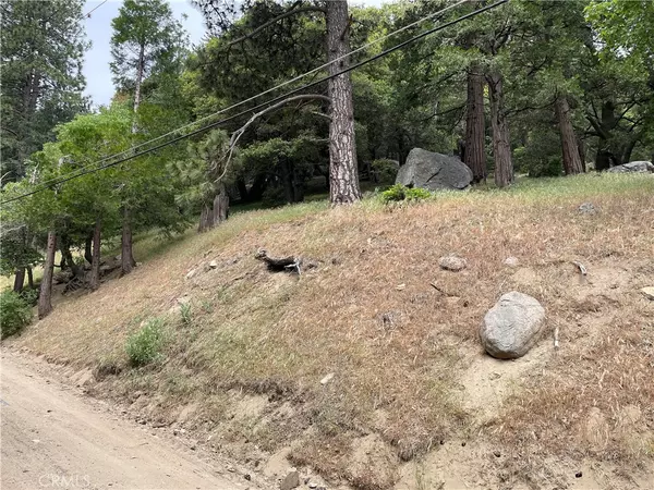 42 Lot 42 Burnt Mill Canyon RD, Cedarpines Park, CA 92322