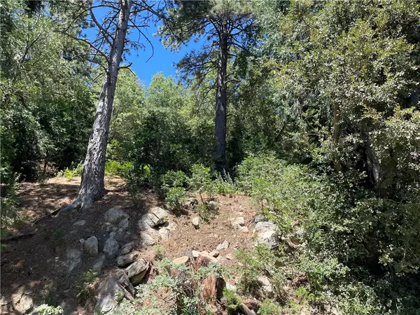 Cedarpines Park, CA 92322,16 Lot 16 Sawpit Canyon RD