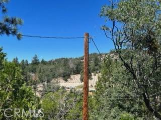 Arrowbear, CA 92382,32853 Deer Lick LN