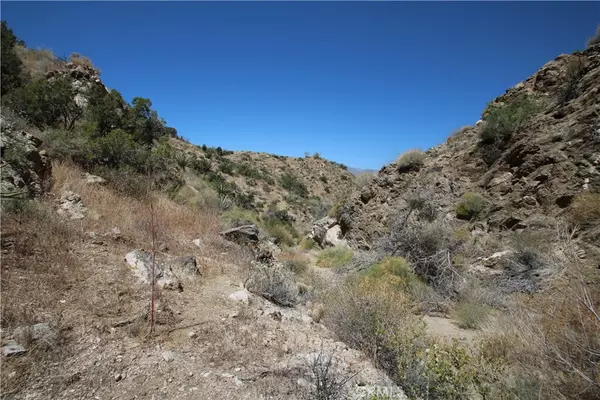 Morongo Valley, CA 92256,37 Lot 37 Samel RD