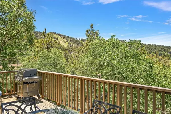 Big Bear Lake, CA 92315,1446 Rockspray CT