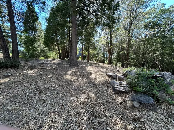 Lake Arrowhead, CA 92352,28970 Partridge PL