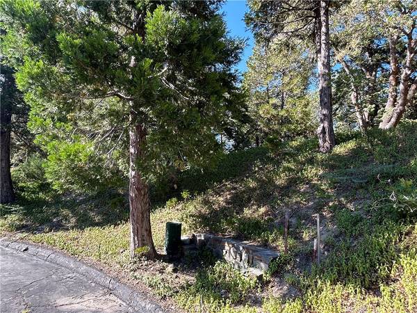 28970 Partridge PL, Lake Arrowhead, CA 92352