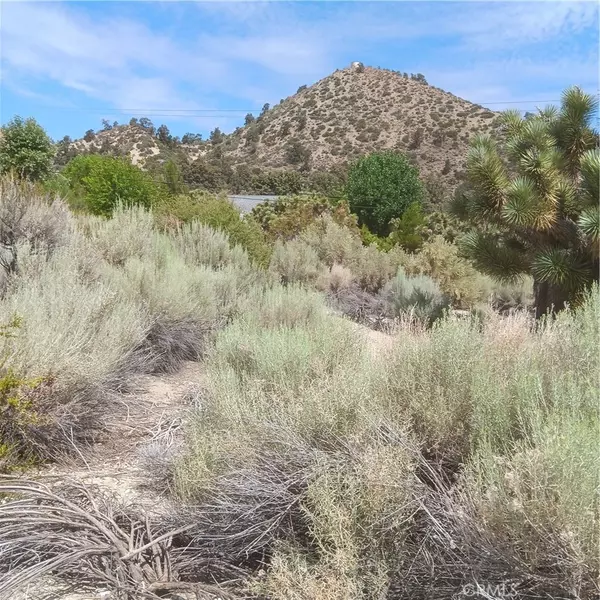 Pinon Hills, CA 92372,30365410 Oak Spring Valley