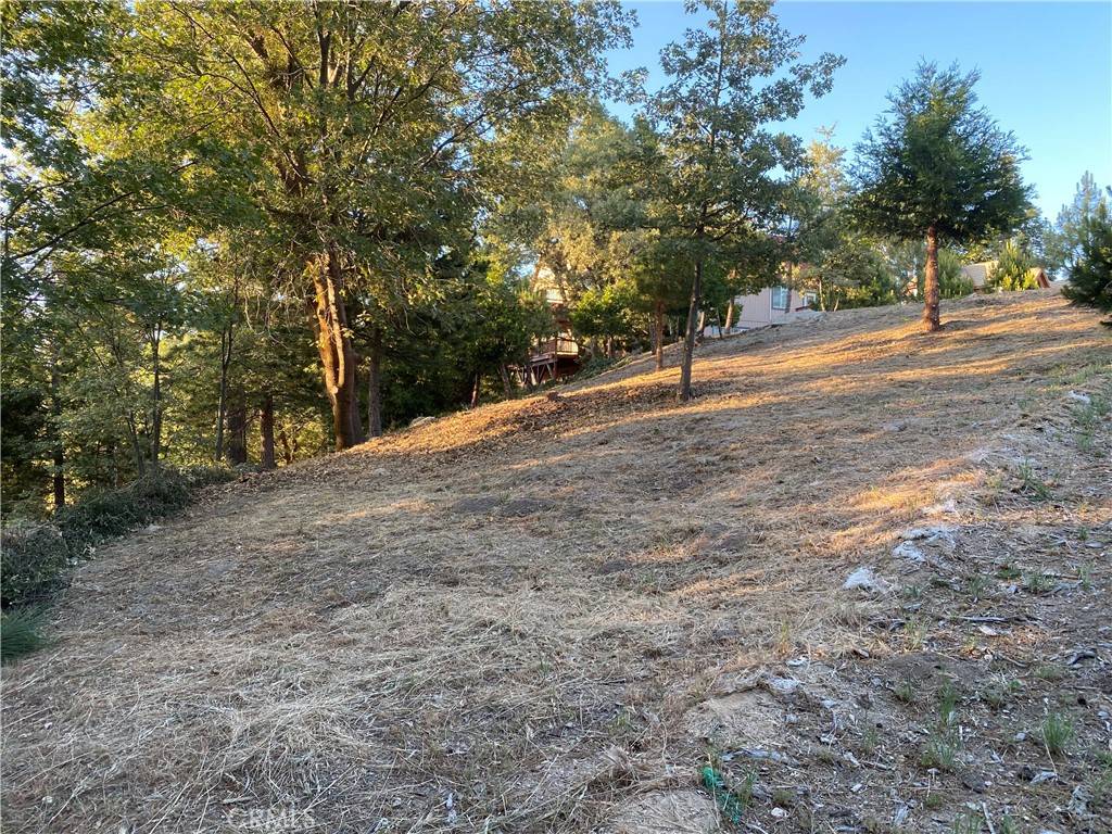 Running Springs, CA 92382,30058 Magic DR
