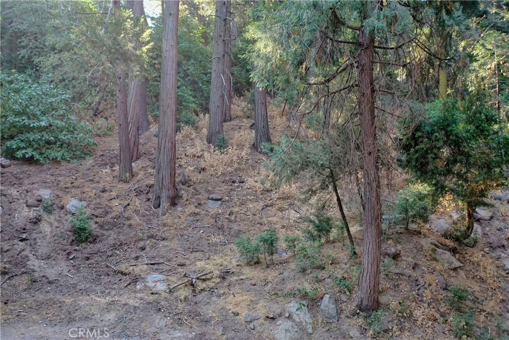 Crestline, CA 92325,33 Lot 33 Bernard DR