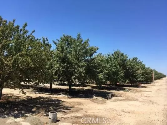 Kerman, CA 93630,21484 W Jensen AVE