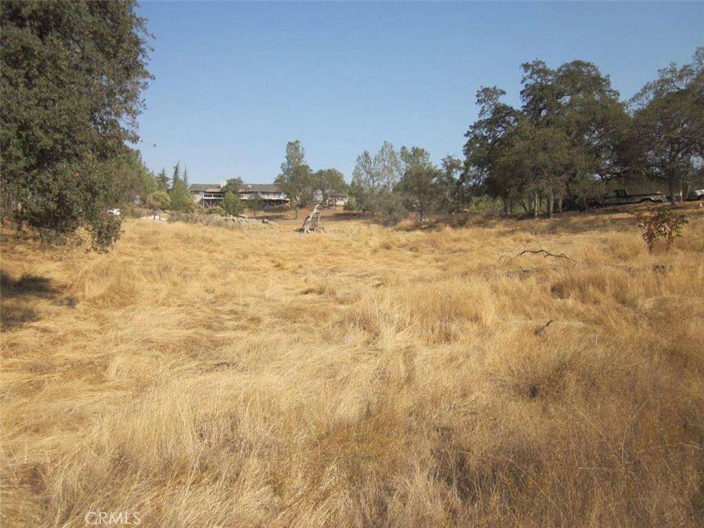 Coarsegold, CA 93614,0 1.07AC Holiday DR