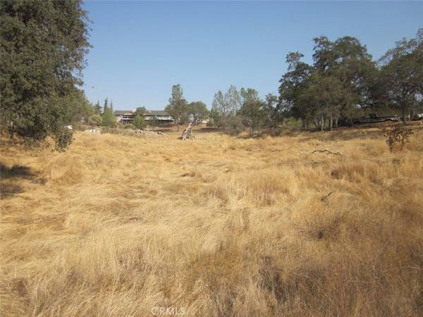 0 1.07AC Holiday DR, Coarsegold, CA 93614