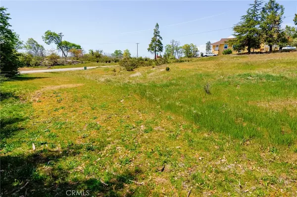 Oakhurst, CA 93644,52830 Pine DR