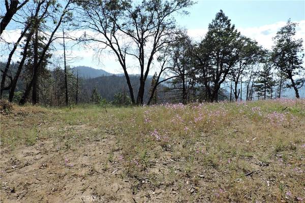 Yosemite, CA 95389,5 AC Henness Ridge RD